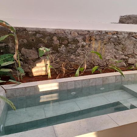 La Kaz Banian Hotell Saint Pierre Eksteriør bilde